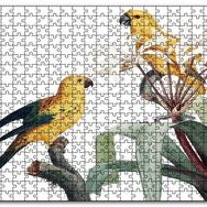 Cakapuzzle Dallar Arasında Sarı Papağanlar Gravür Mdf 500 Parça Puzzle