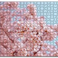 Cakapuzzle Dallarda Kiraz Çiçekleri Mdf 120 Parça Puzzle