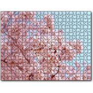 Cakapuzzle Dallarda Kiraz Çiçekleri Mdf 500 Parça Puzzle