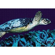 Cakapuzzle Deniz Dibinde Kaplumbağası Ahşap 500 Parça Puzzle