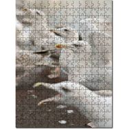 Cakapuzzle Deniz Kuşları Yaban Hayatı Martılar Görseli Mdf 120 Parça Puzzle