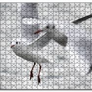 Cakapuzzle Deniz ve Martılar Mdf 120 Parça Puzzle