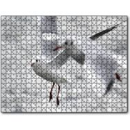 Cakapuzzle Deniz ve Martılar Puzzle
