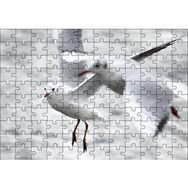 Cakapuzzle Deniz ve Martılar Puzzle