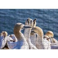 Cakapuzzle Deniz ve Sümsük Kuşları Mdf 120 Parça Puzzle
