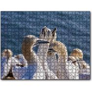 Cakapuzzle Deniz ve Sümsük Kuşları Mdf 255 Parça Puzzle