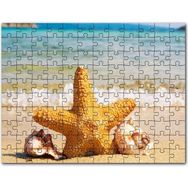 Cakapuzzle Deniz Yıldızı Deniz Kabukları ve Berrak Kumsal Mdf 500 Parça Puzzle