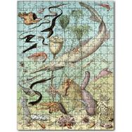 Cakapuzzle Derin Deniz Canlıları Zoolojik Şema Mdf 255 Parça Puzzle