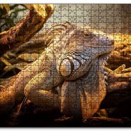 Cakapuzzle Dev Kertenkele ve Güneş Işıkları Mdf 255 Parça Puzzle