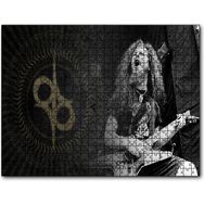 Cakapuzzle Dimebag Darrell Elektrogitar Mdf 255 Parça Puzzle