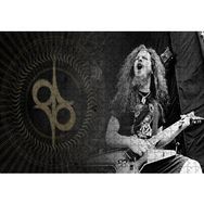 Cakapuzzle Dimebag Darrell Elektrogitar Mdf 500 Parça Puzzle