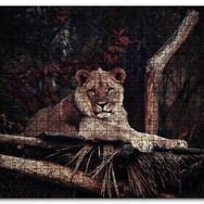 Cakapuzzle Dişi Aslan Dinleniyor Ahşap 1000 Parça Puzzle