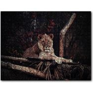 Cakapuzzle Dişi Aslan Dinleniyor Ahşap 255 Parça Puzzle