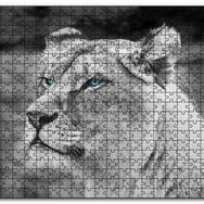 Cakapuzzle Dişi Aslan Monochrome Mdf 120 Parça Puzzle