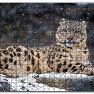 Cakapuzzle Dişi Kar Leoparı Kayalıkta Mdf 255 Parça Puzzle