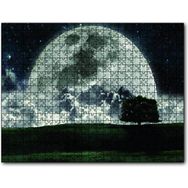 Cakapuzzle Doğa Gecede Ay Güzelliği Ahşap 255 Parça Puzzle