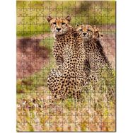 Cakapuzzle Doğada Çita Ailesi Görseli Mdf 500 Parça Puzzle