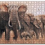 Cakapuzzle Doğada Fil Ayleleri Kuşlar Görseli Mdf 255 Parça Puzzle