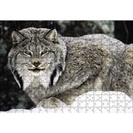Cakapuzzle Doğada Kanada Vaşağı 120 Parça Ahşap Puzzle