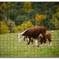 Cakapuzzle Doğada Öküz ve Dana Koşturmacası Görseli Mdf 1000 Parça Puzzle