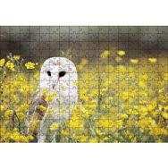 Cakapuzzle Doğada Peçeli Baykuş 120 Parça Ahşap Puzzle