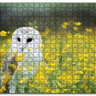 Cakapuzzle Doğada Peçeli Baykuş Ahşap 255 Parça Puzzle