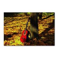 Cakapuzzle Doğadaki Gitar 120 Parça Ahşap Puzzle