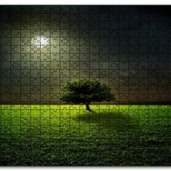 Cakapuzzle Dolunayda Çayırlar Yalnız Ağaç Ahşap 255 Parça Puzzle