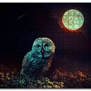 Cakapuzzle Dolunayorman ve Baykuş Sürreal Ahşap 500 Parça Puzzle