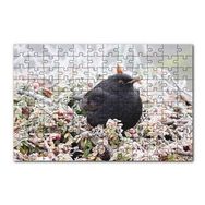 Cakapuzzle Donmuş Çalıların Arasındaki Karatavuk 120 Parça Ahşap Puzzle