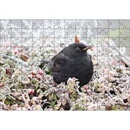 Cakapuzzle Donmuş Çalıların Arasındaki Karatavuk Mdf 120 Parça Puzzle