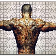 Cakapuzzle Dövmeli Adam ve Kasları Mdf 120 Parça Puzzle