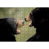 Cakapuzzle Dövüşen Kahverengi Ayılar Yakın Çekim 120 Parça Ahşap Puzzle