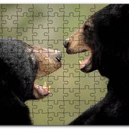 Cakapuzzle Dövüşen Kahverengi Ayılar Yakın Çekim Mdf 255 Parça Puzzle