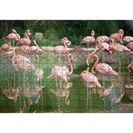 Cakapuzzle Durgun Gölde Beslenen Flamingolar Mdf 255 Parça Puzzle