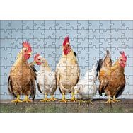 Cakapuzzle Duvarın Üstünde Kahverengi Beyaz Tavuklar 120 Parça Ahşap Puzzle