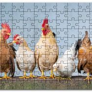 Cakapuzzle Duvarın Üstünde Kahverengi Beyaz Tavuklar Mdf 120 Parça Puzzle