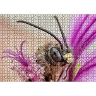 Cakapuzzle Eflatun Çiçeklerin Arasında Boynuzlu Arı Yakın Çekim 1000 Parça Puzzle