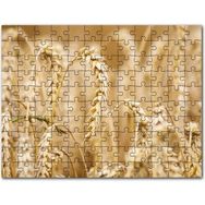 Cakapuzzle Eğilmiş Buğday Başakları Yakın Çekim Mdf 255 Parça Puzzle