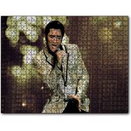 Cakapuzzle Elvis Presley 255 Parça Puzzle