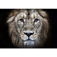 Cakapuzzle Erkek Aslan Siyah Zemin 120 Parça Ahşap Puzzle