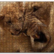 Cakapuzzle Erkek Aslan ve Evladı Mdf 120 Parça Puzzle