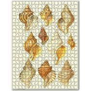 Cakapuzzle Eski Deniz Kabukları Çeşitleri Görseli 120 Parça Puzzle