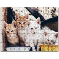Cakapuzzle Eski Pencerede Sarı ve Beyaz Yavru Kediler Mdf 120 Parça Puzzle