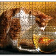 Cakapuzzle Fanustaki Balık ve İzleyen Kedi Mdf 1000 Parça Puzzle
