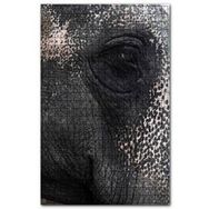 Cakapuzzle Fil Gözü Yakın Plan 120 Parça Ahşap Puzzle