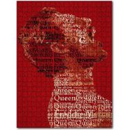 Cakapuzzle Freddie Mercury Poster Şekilli Görsel 500 Parça Puzzle