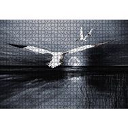 Cakapuzzle Gece Ay Göl Balıkçı Kuşları 1000 Parça Puzzle