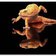 Cakapuzzle Geko Kertenkelesi Cam Zeminde Karanlık Arkaplan Mdf 1000 Parça Puzzle