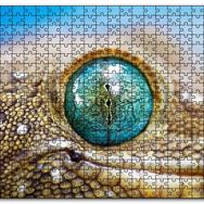 Cakapuzzle Geko Kertenkelesi Gözü Makro Çekim Mdf 255 Parça Puzzle